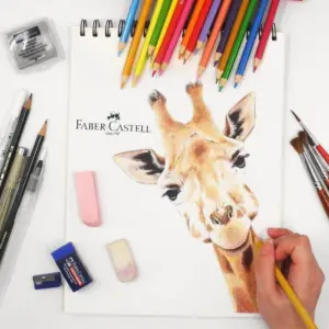 Faber Castell Classic Color Pencils - 36 Colors