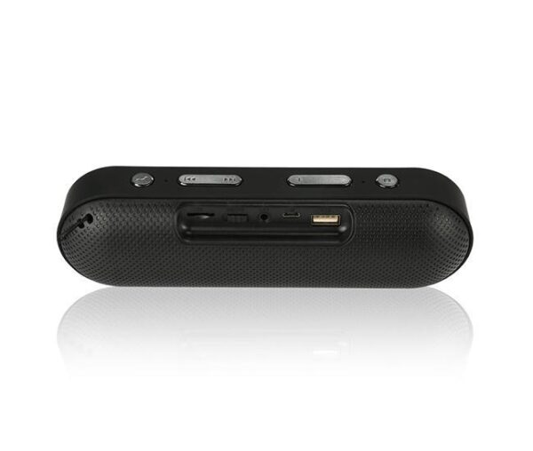 Faster Outdoor Wireless Speaker