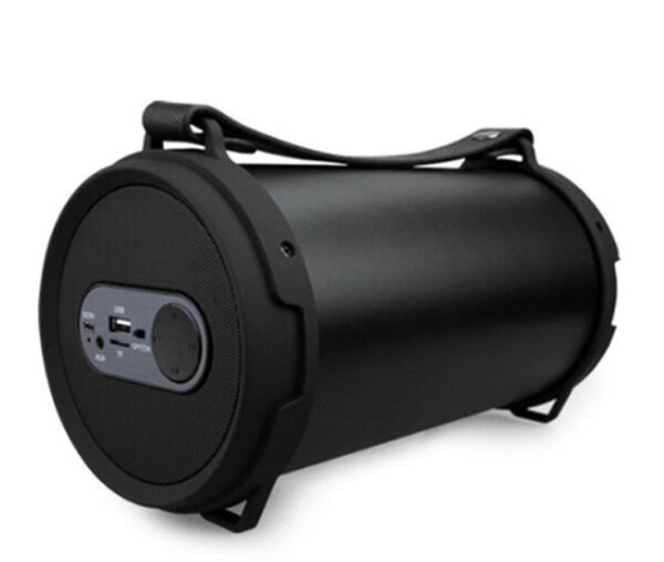Faster Portable Wireless Speaker