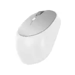 HP Bluetooth & Wireless Dual-Mode Mouse - M231
